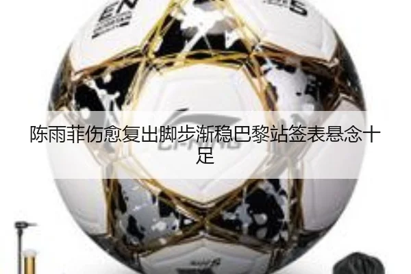 陈雨菲伤愈复出脚步渐稳巴黎站签表悬念十足 | www.jiuyou..comapp